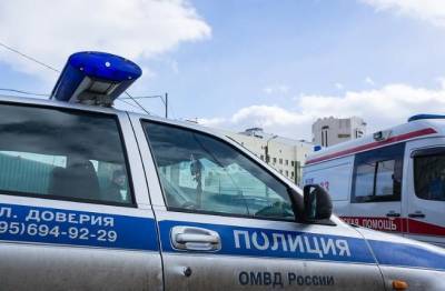 В Москве задержали подозреваемого в изнасиловании двух женщин в Чоботовском лесу - actualnews.org - Москва - Россия