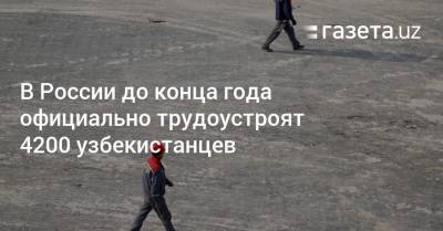 В России до конца года официально трудоустроят 4200 узбекистанцев - gazeta.uz - Россия - Узбекистан