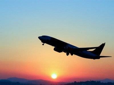 Анна Нагдалян - Организуют ли власти чартерный рейс из Бейрута для армян, которые хотят прилететь на родину? - news.am - Армения - Бейрут