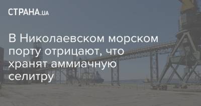 В Николаевском морском порту отрицают, что хранят аммиачную селитру - strana.ua - Бейрут