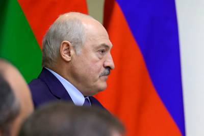 Дмитрий Медведев - Дмитрий Гордон - Александр Лукашенко - Лукашенко пообещал «оторвать яйца» злоумышляющим против Белоруссии россиянам - lenta.ru - Россия - Украина - Белоруссия
