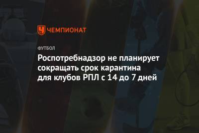 Сергей Прядкин - Роспотребнадзор не планирует сокращать срок карантина для клубов РПЛ с 14 до 7 дней - championat.com