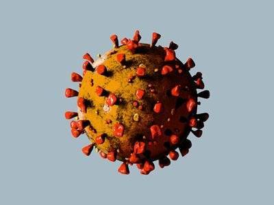 Тони Блэр - Ученые нашли «идеальную стратегию» борьбы с коронавирусом - news.am - Южная Корея - Англия - Дания - Новая Зеландия - Малайзия - Уганда