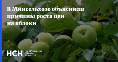 Сергей Колесников - В Минсельхозе объяснили причины роста цен на яблоки - nsn.fm - Россия - окр. Скфо