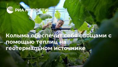 Колыма обеспечит себя овощами с помощью теплиц на геотермальном источнике - ria.ru - Москва