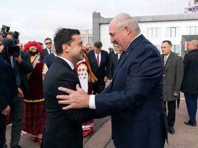 Владимир Зеленский - Александр Лукашенко - Лукашенко о Зеленском: Володя – хороший, он попал, как кур в ощип - sharij.net - Украина - Зеленский - Белоруссия