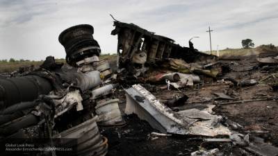 Валентин Филиппов - Русская жительница Голландии заявила, что в деле MH17 есть большая надежда - nation-news.ru - Россия - Украина - Голландия
