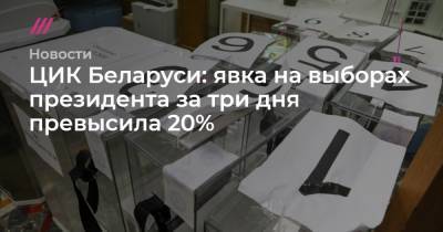 Александр Лукашенко - Софья Сандурская - ЦИК Беларуси: явка на выборах президента за три дня превысила 20% - tvrain.ru - Москва - Белоруссия