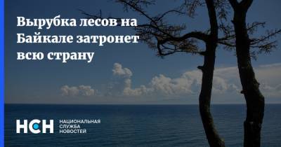 Вырубка лесов на Байкале затронет всю страну - nsn.fm - Россия - Байкал
