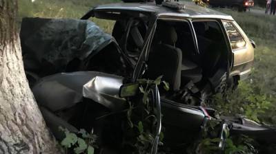 В Воронежской области в пьяном ДТП разбился 23-летний пассажир - vestivrn.ru - Воронежская обл.