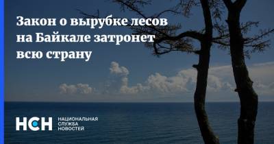 Закон о вырубке лесов на Байкале затронет всю страну - nsn.fm - Россия - Байкал