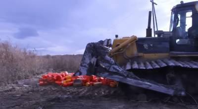 Владимир Путин - Россияне уничтожили 36 тысяч тонн санкционных продуктов и похвастались: "Аналогов в мире нет" - popcorn.politeka.net - Норвегия - Россия - США - Украина - Крым - Армения - Казахстан - Австралия - Белоруссия - Киргизия - Канада - Лихтенштейн - Черногория - Исландия - Албания