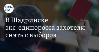 Михаил Богданов - В Шадринске экс-единоросса захотели снять с выборов - ura.news - Россия - Курганская обл. - Шадринск