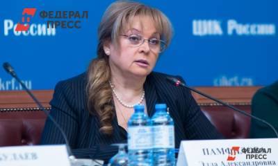 Элла Памфилова - ЦИК РФ оставил жалобу челябинского «Яблока» без удовлетворения - fedpress.ru - Россия - Челябинская обл. - Челябинск