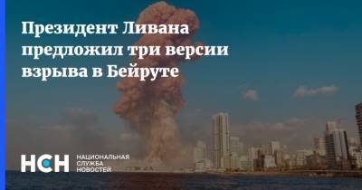 Мишель Аун - Президент Ливана предложил три версии взрыва в Бейруте - nsn.fm - Франция - Ливан - Бейрут - Бейрут