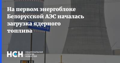 На первом энергоблоке Белорусской АЭС началась загрузка ядерного топлива - nsn.fm - Белоруссия