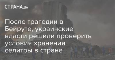 Олег Немчинов - После трагедии в Бейруте, украинские власти решили проверить условия хранения селитры в стране - strana.ua - Украина - Ливан - Бейрут