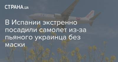 В Испании экстренно посадили самолет из-за пьяного украинца без маски - strana.ua - Индия - Испания
