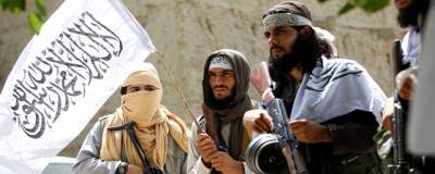 Сухейль Шахин - Талибы опровергли данные о сговоре с Россией против США - runews24.ru - Россия - США - New York - Афганистан
