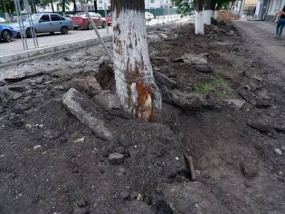 «Реконструкция площади не должна превращаться в публичную казнь»: Активисты ОНФ вступились за липы на улице Советской - ufatime.ru - Россия - Башкирия