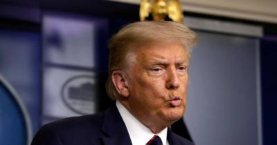 Дональд Трамп - Чак Шумер - Нэнси Пелоси - Трамп: Демократы хотят украсть выборы - ren.tv - США - шт.Нью-Джерси