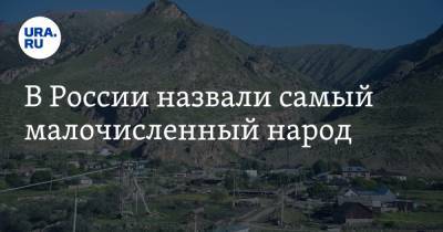 В России назвали самый малочисленный народ - ura.news - Россия - респ. Дагестан - респ. Чечня