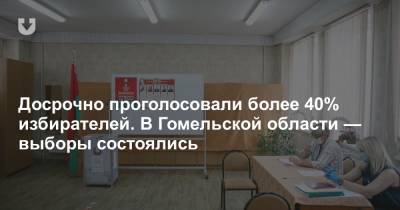 Досрочно проголосовали более 40% избирателей. В Гомельской области — выборы состоялись - news.tut.by - Белоруссия