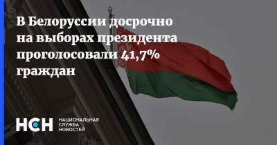 Лидия Ермошина - В Белоруссии досрочно на выборах президента проголосовали 41,7% граждан - nsn.fm - Белоруссия