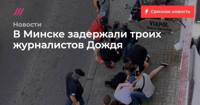 Александр Лукашенко - Мария Колесникова - Виктор Бабарико - Светлана Тихановская - Вероника Цепкало - В Минске задержали троих журналистов Дождя - tvrain.ru - Москва - Белоруссия - Минск