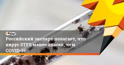 Российский эксперт полагает, что вирус STFS менее опасен, чем COVID-19 - ridus.ru - Китай - Новосибирск