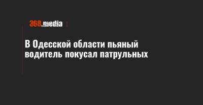 В Одесской области пьяный водитель покусал патрульных - 368.media - Одесская обл.