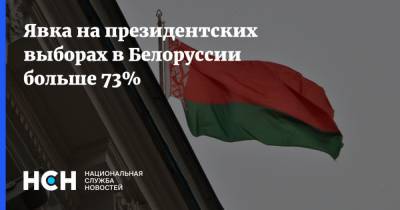 Александр Лукашенко - Вадим Ипатов - Явка на президентских выборах в Белоруссии больше 73% - nsn.fm - Москва - Белоруссия - Минск