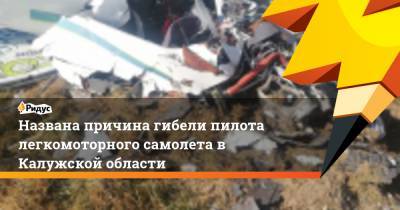 Названа причина гибели пилота легкомоторного самолета в Калужской области - ridus.ru - Россия - Калужская обл.