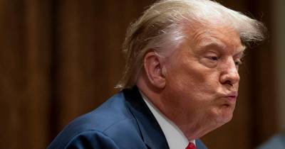 Дональд Трамп - Чак Шумер - Джо Байден - Демократы обвинили Трампа в потворстве России накануне выборов в США - ren.tv - Москва - Россия - США