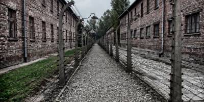 Приняли Эли Щербатова в Освенциме очень хорошо, он доволен - detaly.co.il - Израиль - Польша