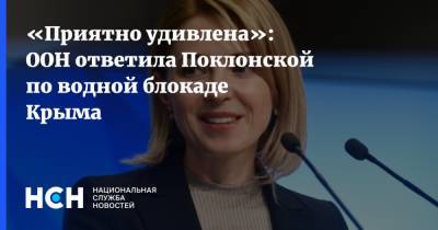 Наталья Поклонская - Сергей Аксенов - «Приятно удивлена»: ООН ответила Поклонской по водной блокаде Крыма - nsn.fm - Украина - Крым