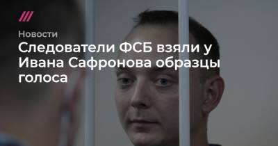 Иван Павлов - Иван Сафронов - Следователи ФСБ взяли у Ивана Сафронова образцы голоса - tvrain.ru - Москва - Чехия