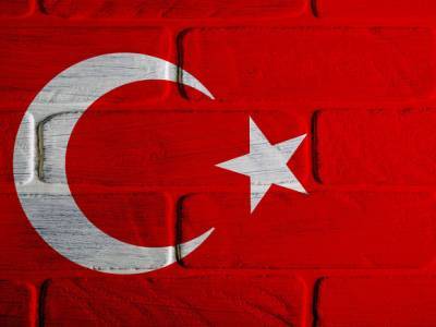 Сулейман Сойлу - В Турции арестован главарь «Исламского государства» - rosbalt.ru - Россия - Сирия - Турция - Стамбул