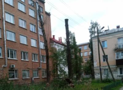 Столбы невыветривания: в Ухте безопасности людей угрожают 10-метровые высохшие тополя - komiinform.ru - Ухты