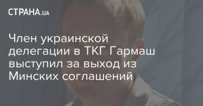 Витольд Фокин - Член украинской делегации в ТКГ Гармаш выступил за выход из Минских соглашений - strana.ua - Россия - Украина - Минск - Донбасс