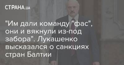 Александр Лукашенко - "Им дали команду "фас", они и вякнули из-под забора". Лукашенко высказался о санкциях стран Балтии - strana.ua - Белоруссия - Латвия - Границы