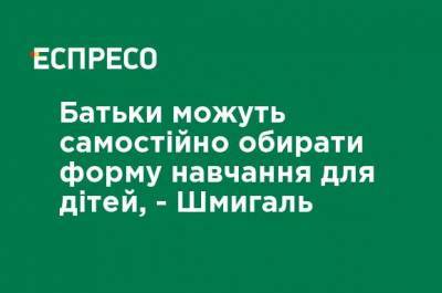 Денис Шмыгаль - Родители могут самостоятельно выбирать форму обучения для детей, - Шмыгаль - ru.espreso.tv - Украина - Киев