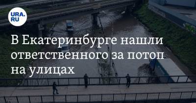 Александр Репин - В Екатеринбурге нашли ответственного за потоп на улицах - ura.news - Екатеринбург