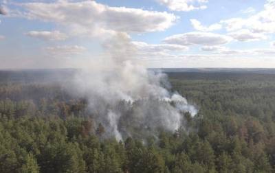 Рада поддержала усиление ответственности за лесные пожары - korrespondent.net