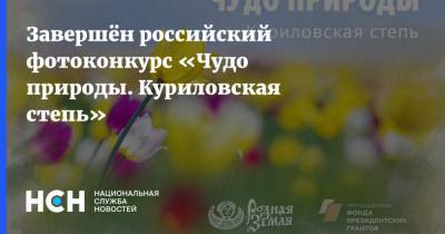 Завершён российский фотоконкурс «Чудо природы. Куриловская степь» - nsn.fm - Москва - Россия - Саратовская обл. - Солнечногорск