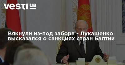 Александр Лукашенко - Вякнули из-под забора - Лукашенко высказался о санкциях стран Балтии - vesti.ua - Россия - Белоруссия