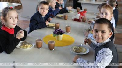 Пищеблоки 22 школ и детсадов обновили в Брестской области - belta.by - район Брестский