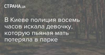 В Киеве полиция восемь часов искала девочку, которую пьяная мать потеряла в парке - strana.ua - Киев - Киевская обл.