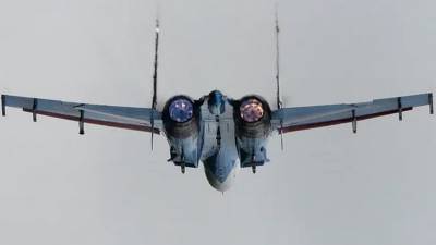 Российский истребитель Су-27 перехватил патрульный самолет ВВС Германии над Балтикой - anna-news.info - Россия - Германия - Балтийское Море