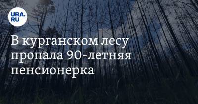 В курганском лесу пропала 90-летняя пенсионерка - ura.news - Россия - Курганская обл. - район Щучанский